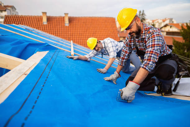 Roof Gutter Cleaning in East Sonora, CA
