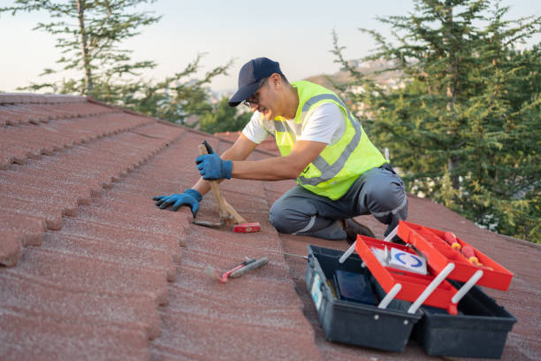 Best Roof Gutter Cleaning  in East Sonora, CA